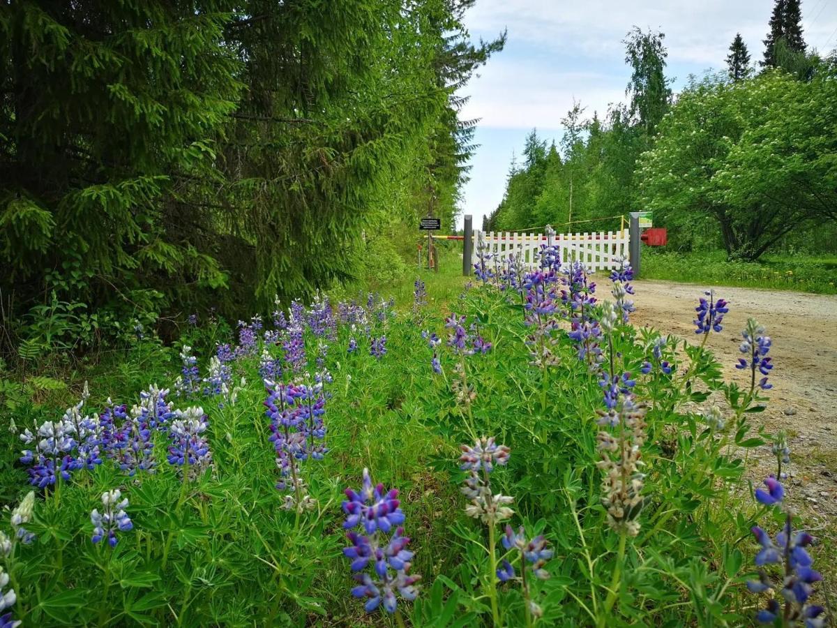 Raate Guest House Suomussalmi Exterior photo